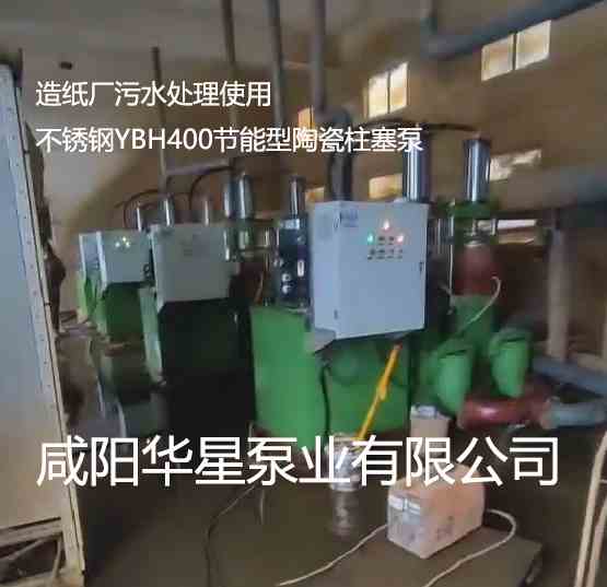 造紙廠污水處理使用不銹鋼YBH400節能型陶瓷柱塞泵 造紙廠污水處理使用不銹鋼YBH400節能型陶瓷柱塞泵